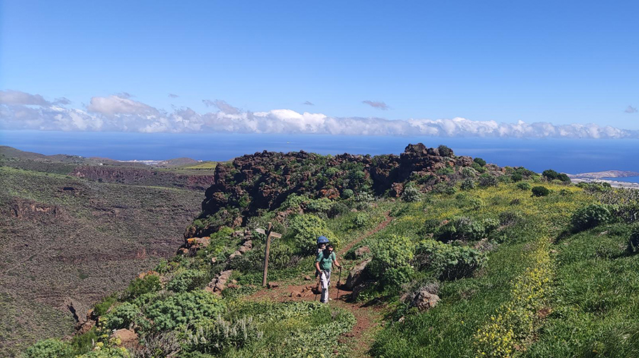 MOGAN VERDE - privé en groepswandelingen in Gran Canaria